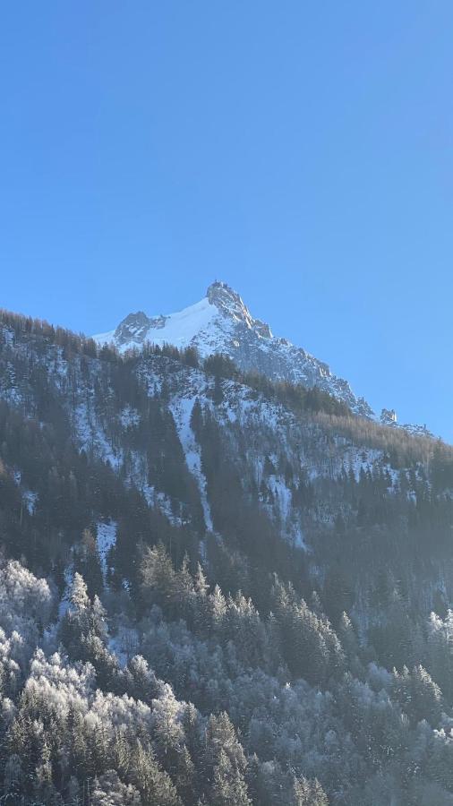Chamois De Chamonix, Confortable 2 Pieces, Balcon, Parking Gratuit Экстерьер фото
